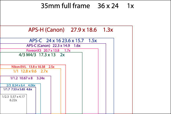 Sensor-Size-of-Digital-Cameras.jpg